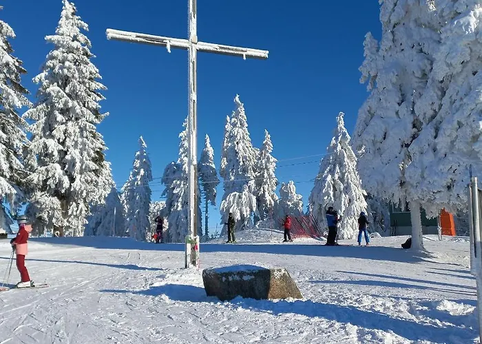 Apartements 270-275 Mitterdorf *