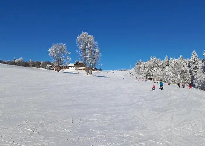 Apartements 270-275 Mitterdorf * ميتيرفيرميانسرويت