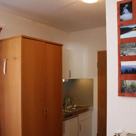 公寓 Apartements 270-275 Mitterdorf *